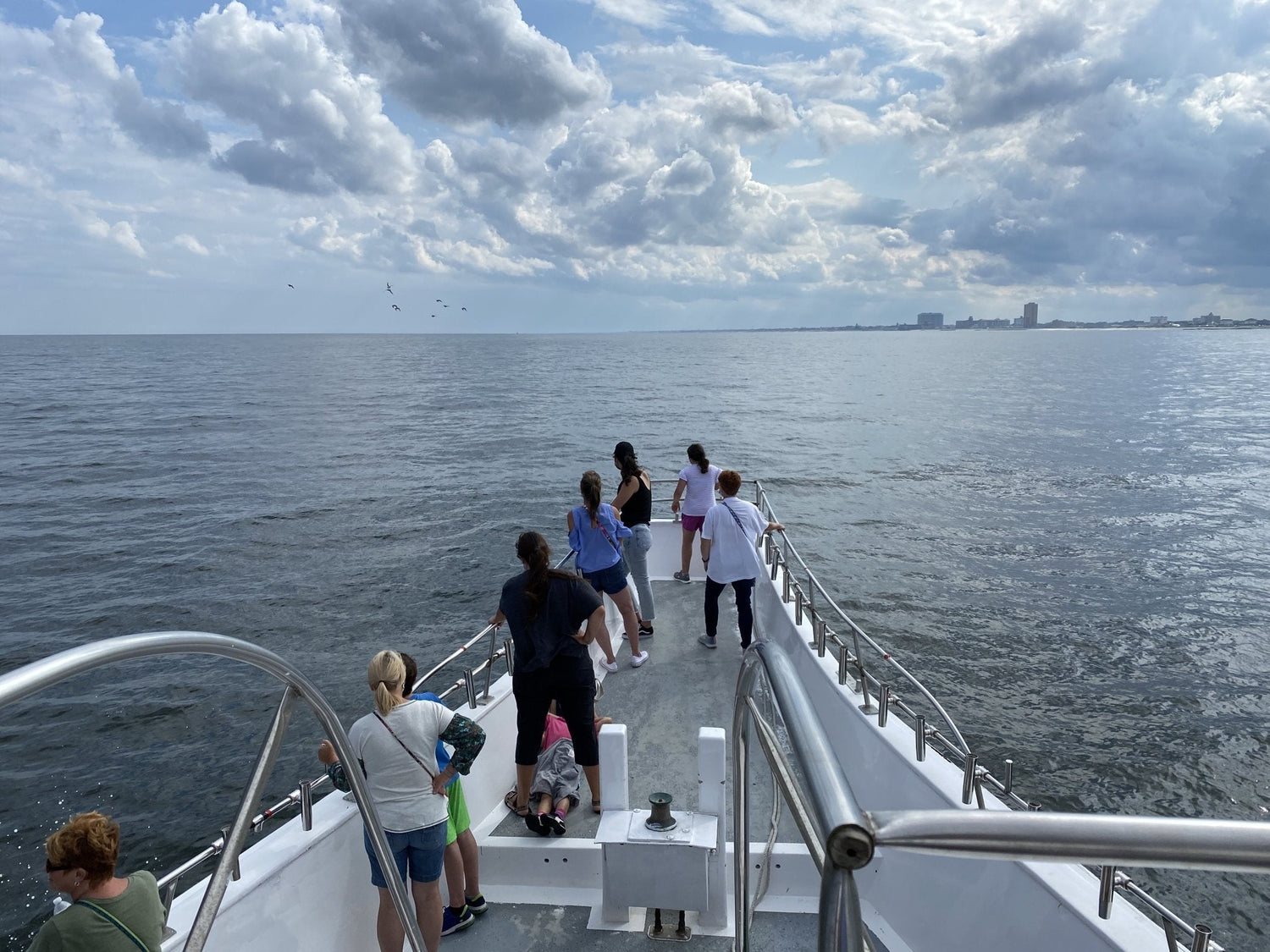 August 19 whale watching trip report