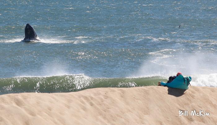 Click to view 2nd group of 2018 favorite photos Bill McKim