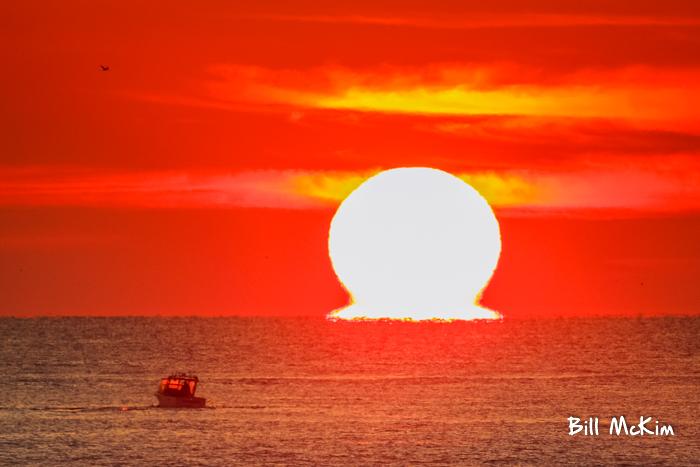 Click to view  my favorite photos from this year Bill McKim