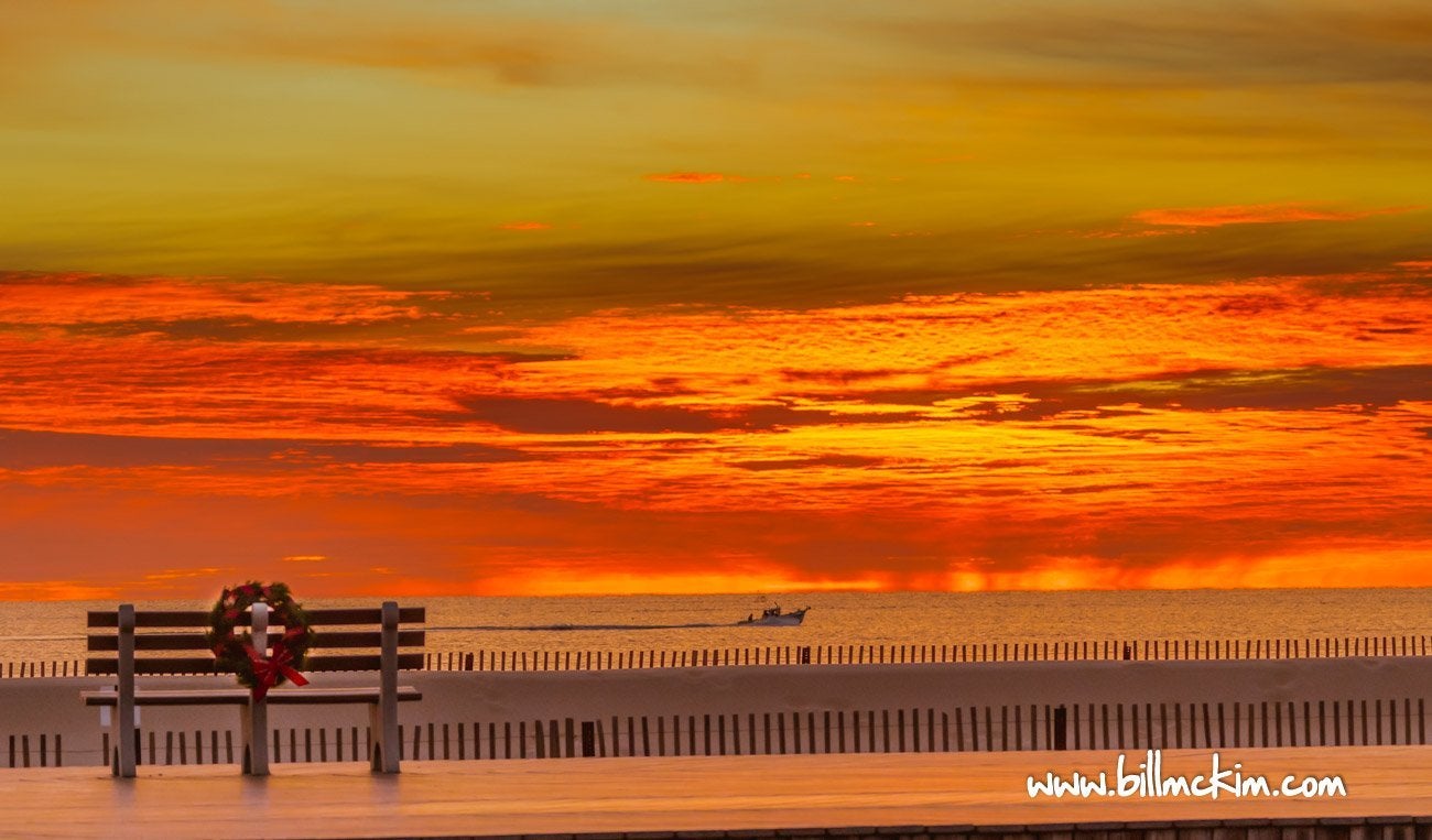 Our 2021 Photo of the day emailed to you! Join our email list