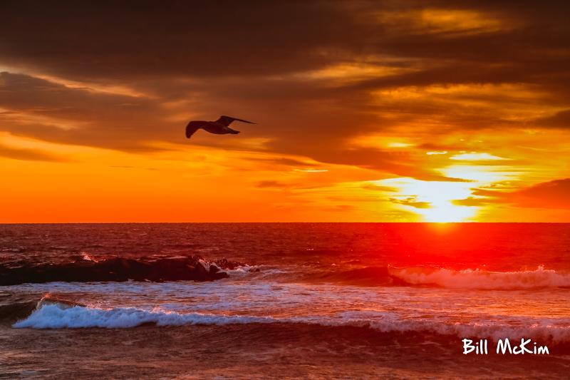 Saturday morning at the beach, share the beauty.