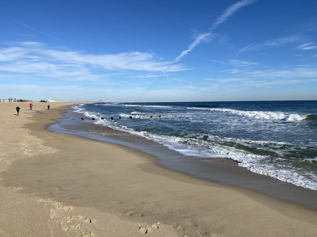 Sunday, January 10 photo of the day