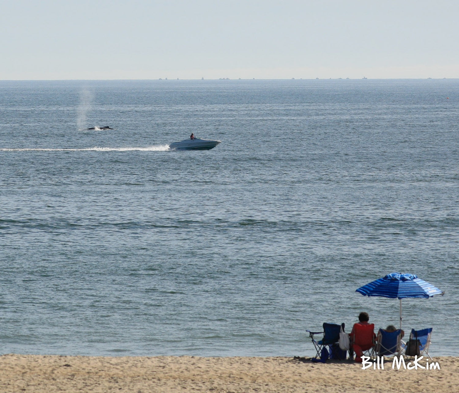 Sunday's Whale of a show along the coast.