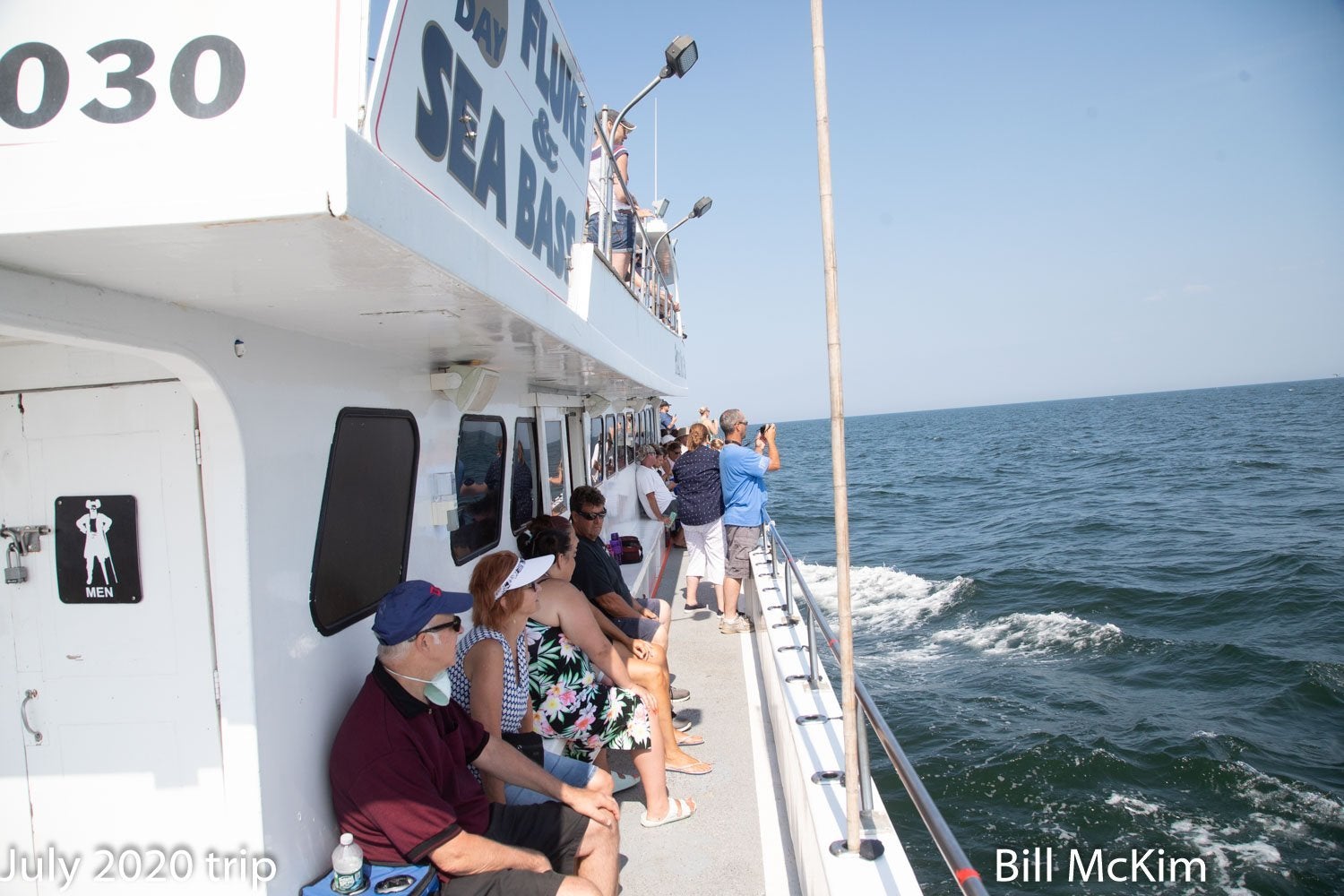 whale watching Belmar Marina trip review