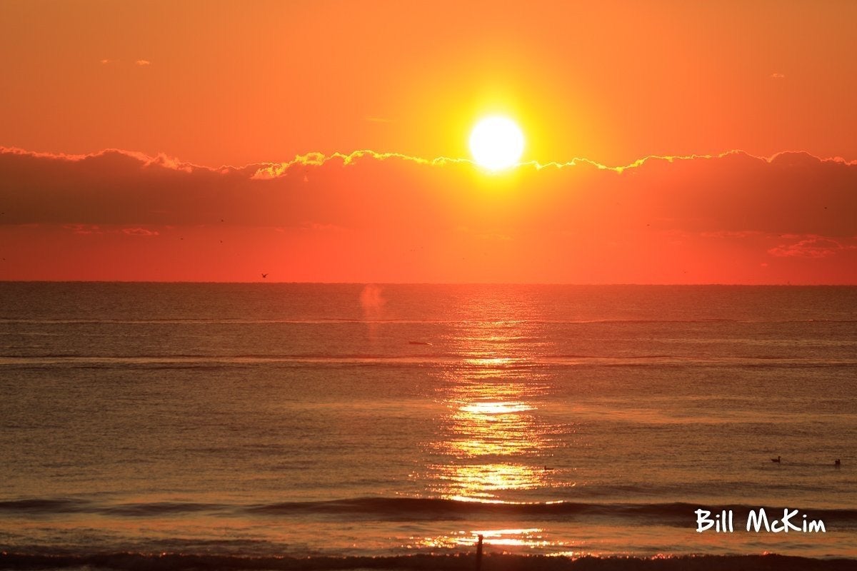 Whales were all along BELMAR and Spring Lake New Jersey beaches today