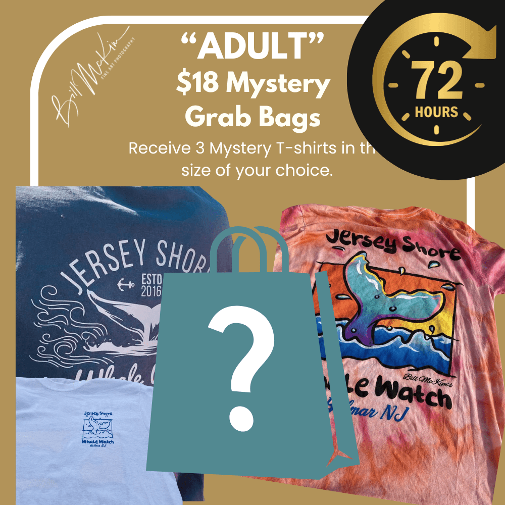 3 Mystery Adult T-Shirts – Perfect for Whale Watching Adventures by Bill McKim Bill McKim Photography -Jersey Shore whale watch tours 