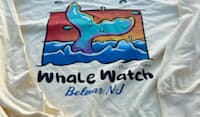 3 Mystery Youth Sweatshirts – Perfect for Whale Watching Adventures by Bill McKim Bill McKim Photography -Jersey Shore whale watch tours 