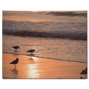 Bird Canvas by Bill Mc Kim Bill McKim Photography -Jersey Shore whale watch tours 