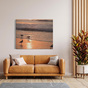 Bird Canvas by Bill Mc Kim Bill McKim Photography -Jersey Shore whale watch tours Image Wrap 1.25 inch 48x60 inch