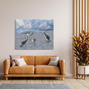 Cold Birds Canvas By Bill Mc Kim Bill McKim Photography -Jersey Shore whale watch tours 