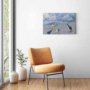 Cold Birds Canvas By Bill Mc Kim Bill McKim Photography -Jersey Shore whale watch tours Image Wrap 1.25 inch 20x30 inch