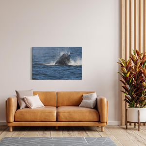 Jersey shore whale watch June 27th-188 Whales Canvas Bill McKim Photography -Jersey Shore whale watch tours Image Wrap 1.25 inch 32x48 inch