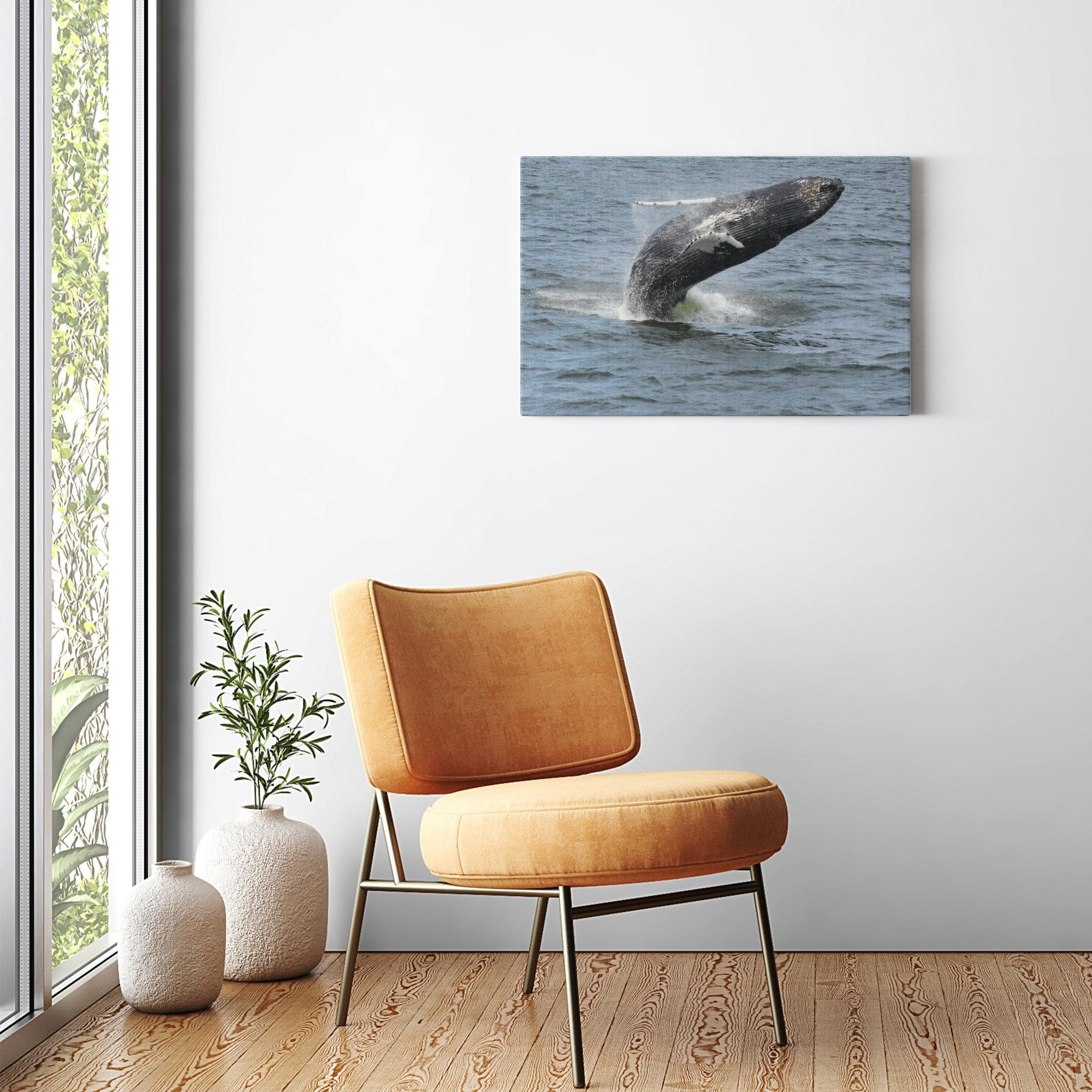 Whale Breaching Jersey shore 2019 Printed on Acrylic Prints Bill McKim Photography -Jersey Shore whale watch tours Image Wrap 1.25 inch 20x30 inch