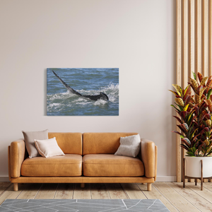 Whale Canvas Bill McKim Photography -Jersey Shore whale watch tours Image Wrap 1.25 inch 32x48 inch