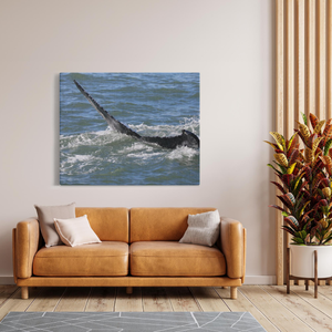 Whale Canvas Bill McKim Photography -Jersey Shore whale watch tours Image Wrap 1.25 inch 48x60 inch