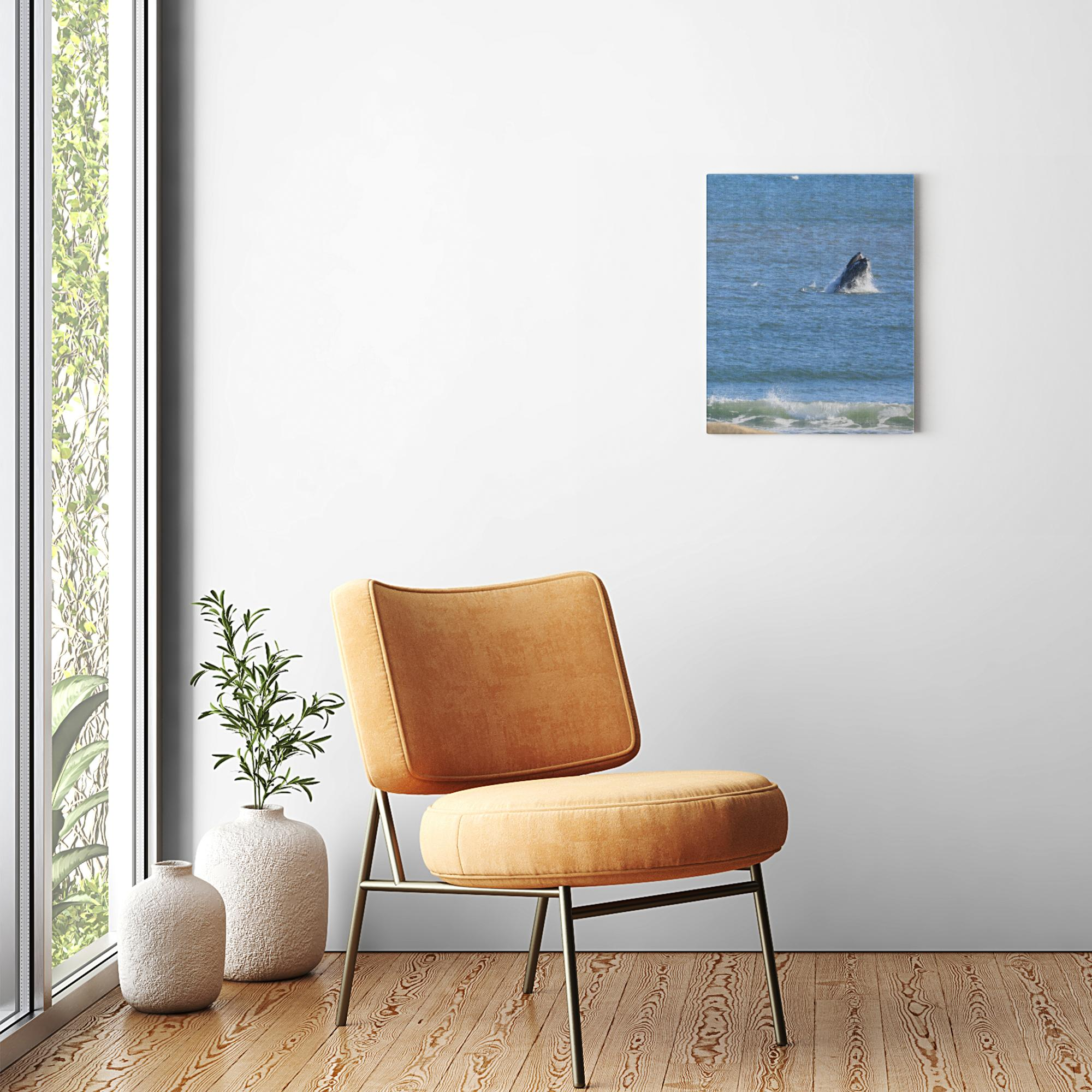 Whale Jersey shore 16 x 20 canvas print Bill McKim Photography -Jersey Shore whale watch tours 