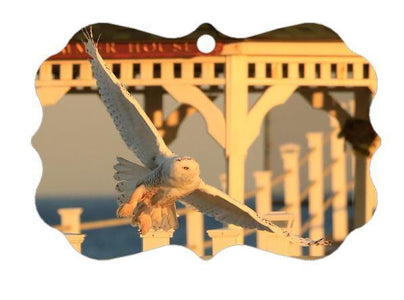 Christmas Ornaments Jersey Shore Bill McKim collection 2017 Bill McKim Photography SNowy Flying 