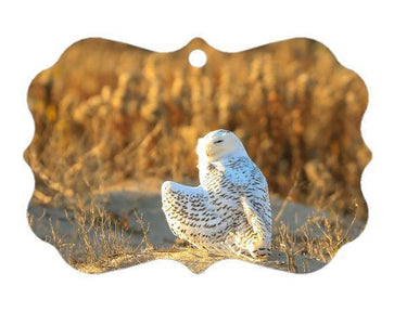 Christmas Ornaments Jersey Shore Bill McKim collection 2017 Bill McKim Photography Snowy Owl 