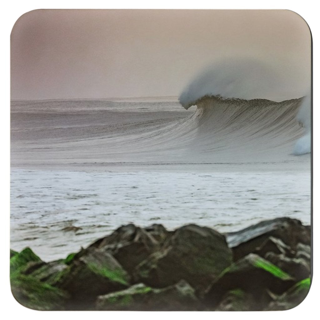 Coasters Bill McKim Photography -Jersey Shore whale watch tours 