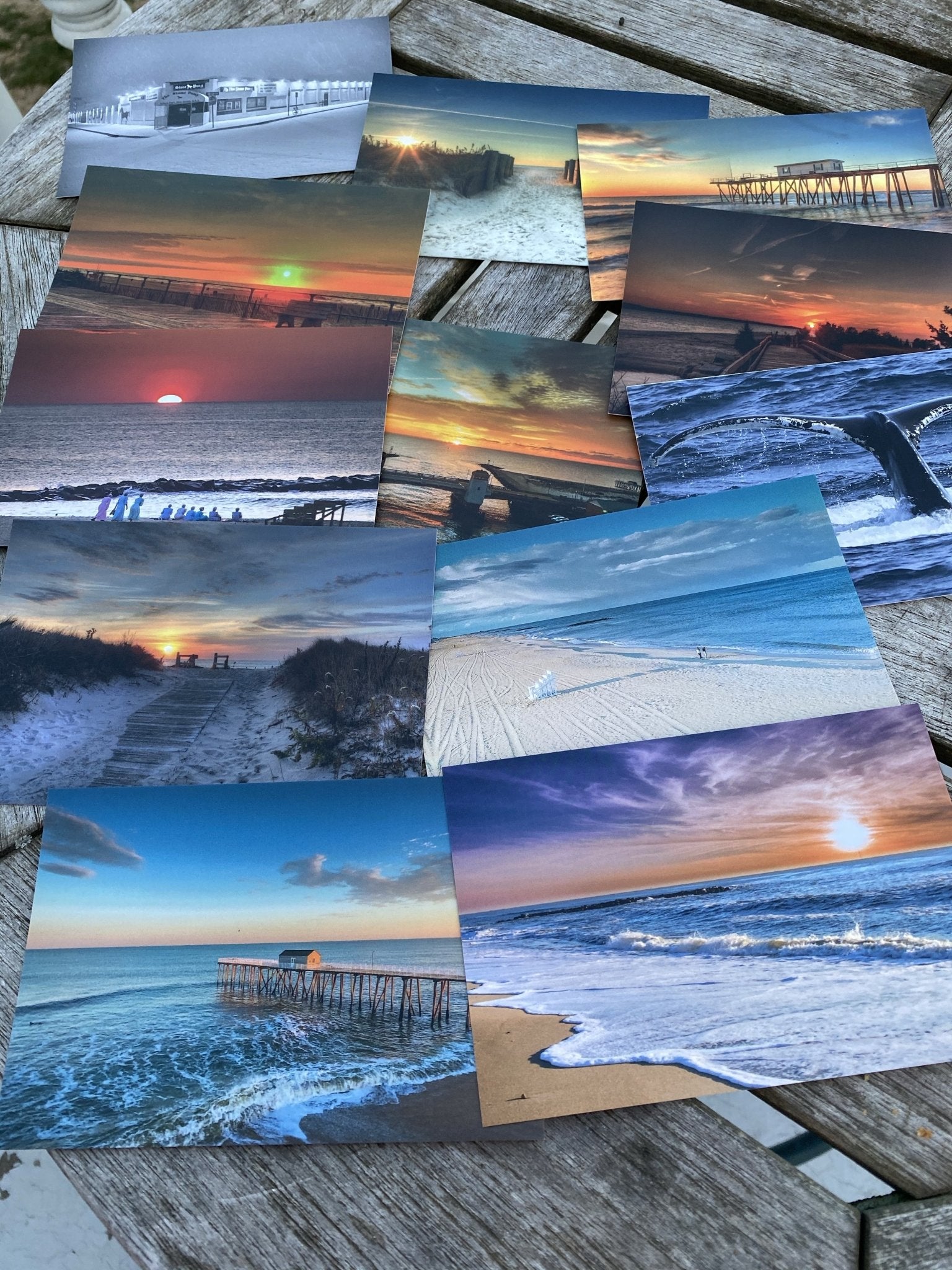 In Stock Postcards Collector number 1 series 12 different cards per series Bill McKim Photography -Jersey Shore whale watch tours 