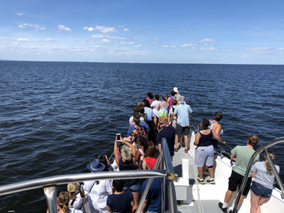 Whale Watching Fundraiser trip deposit Bill McKim Photography 