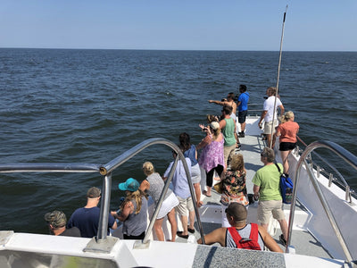 Whale Watching Fundraiser trip deposit Bill McKim Photography 